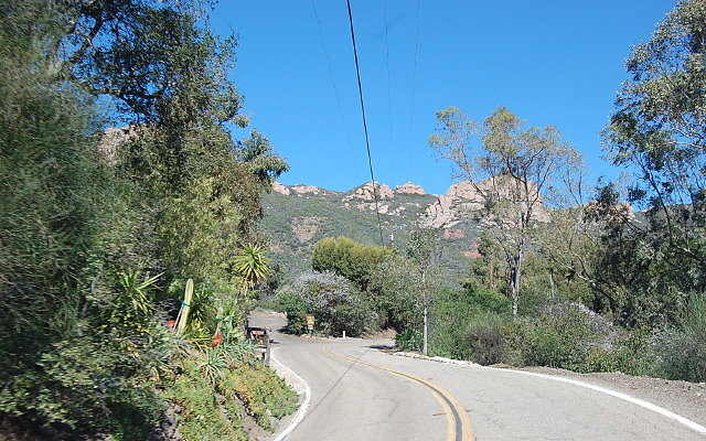 DSC 0109