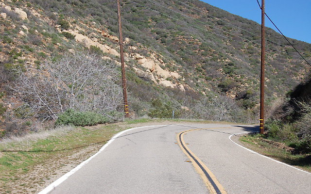 DSC 0072