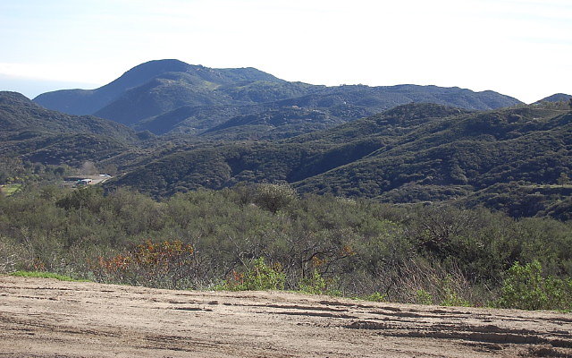 DSC 0450