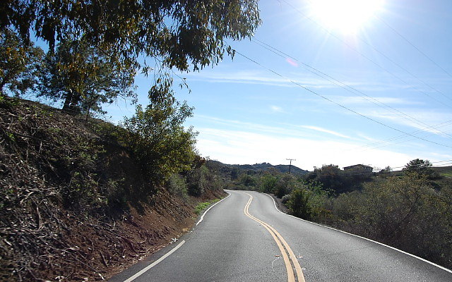 DSC 0459