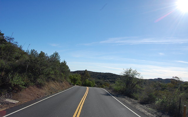 DSC 0460