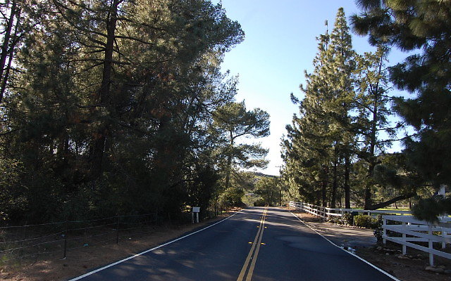 DSC 0461