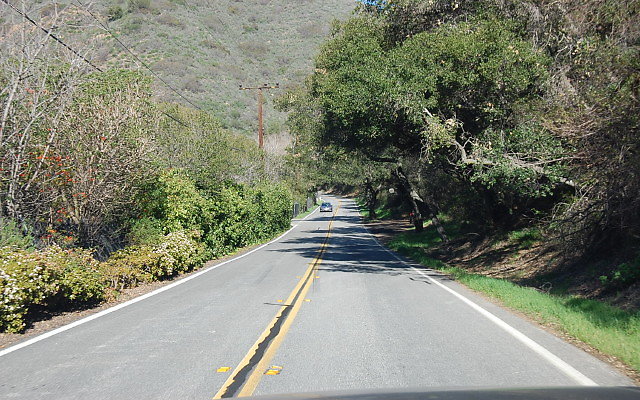 DSC 0350