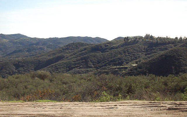 DSC 0446