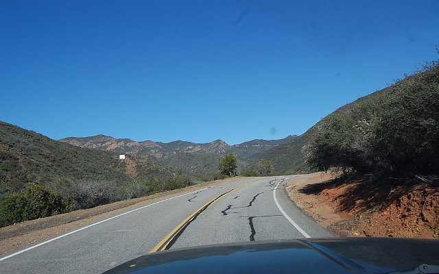 DSC 0341