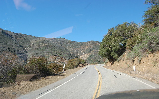 DSC 0336