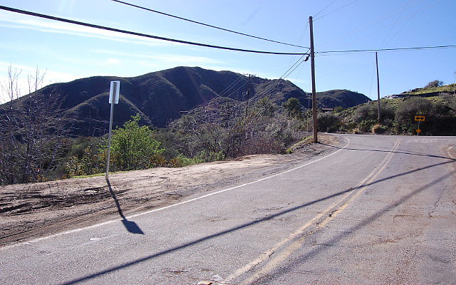 DSC 0449