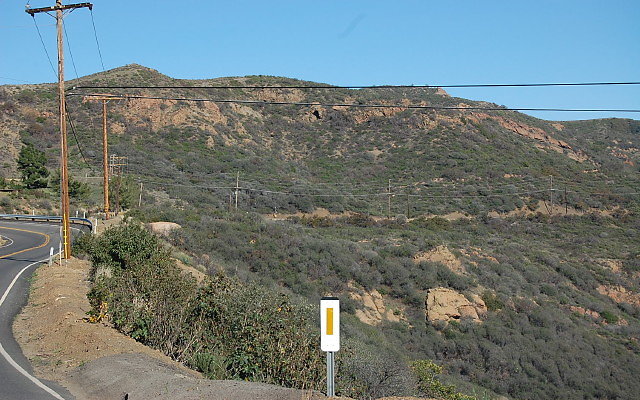 DSC 0438