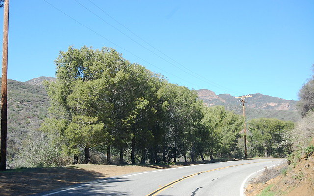 DSC 0348