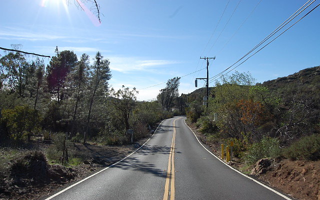 DSC 0462