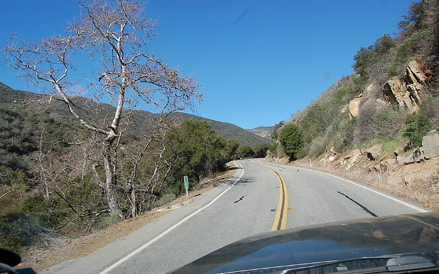 DSC 0334