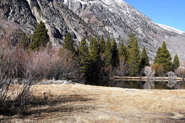 Blacks Pond (5)