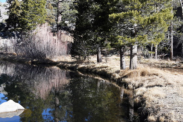 Blacks Pond (10)