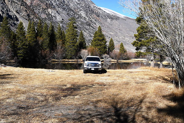 Blacks Pond (16)