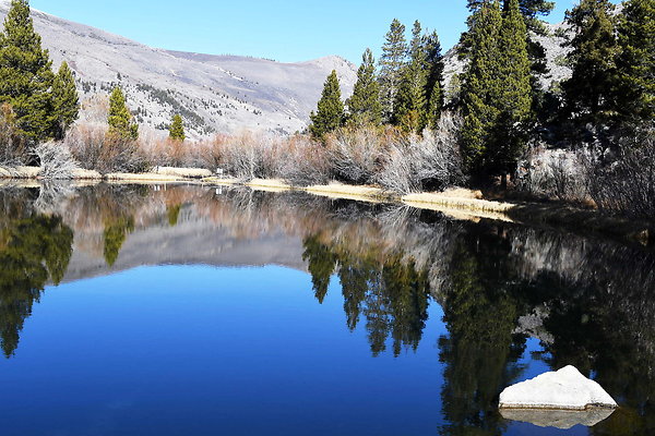 Blacks Pond (11)