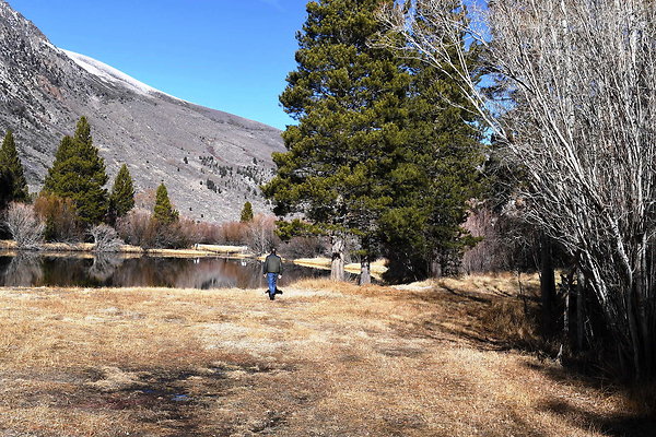 Blacks Pond (6)