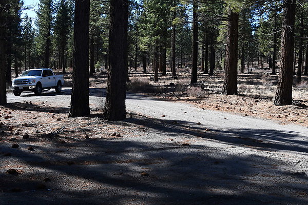 3S06 (8)