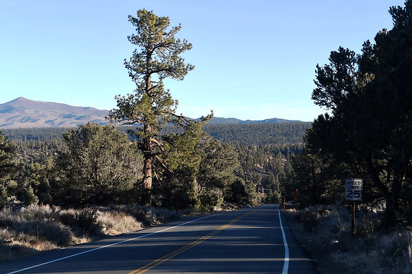 Rock Creek Rd (15)