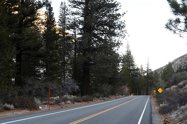 Rock Creek Rd (12)