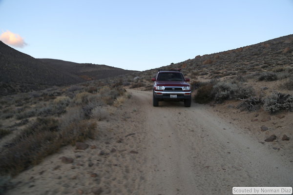 DND-IMG 7920