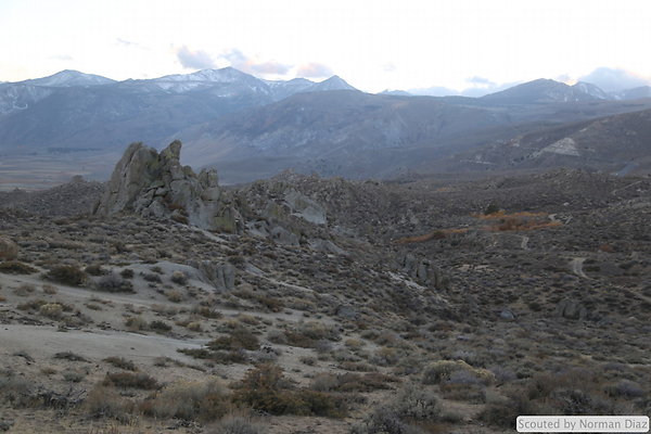 DND-IMG 7903