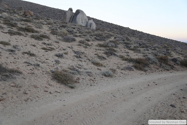 DND-IMG 7901