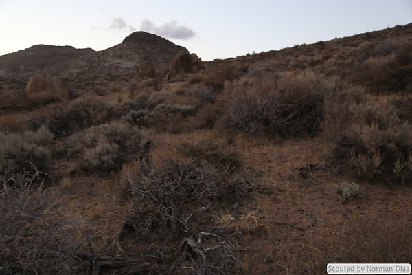 DND-IMG 7946