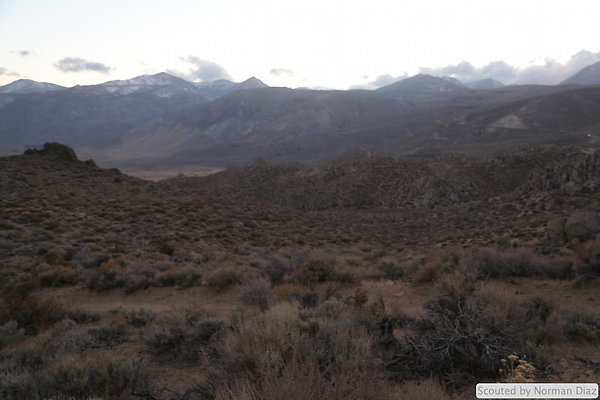 DND-IMG 7944
