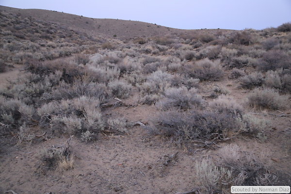DND-IMG 7989