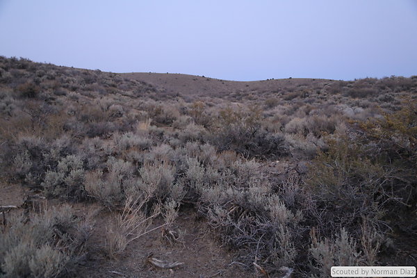 DND-IMG 7990
