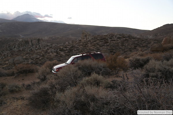 DND-IMG 7945