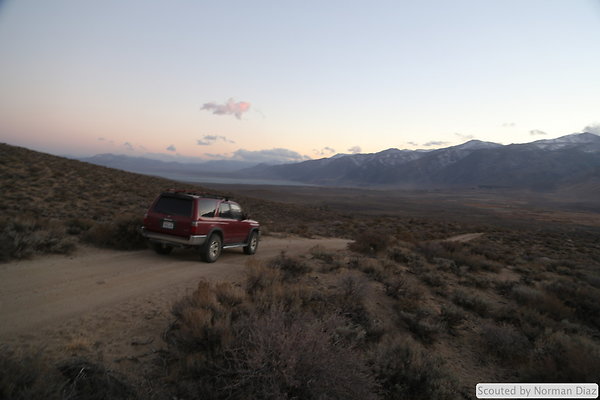DND-IMG 7958
