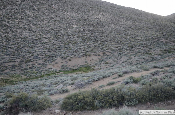 DND 0353