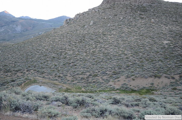 DND 0339