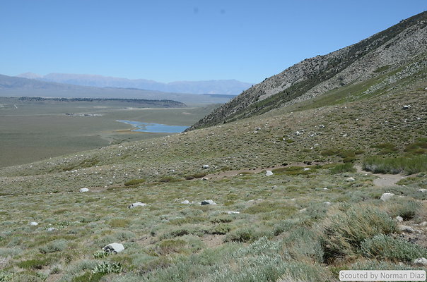 DND 9856