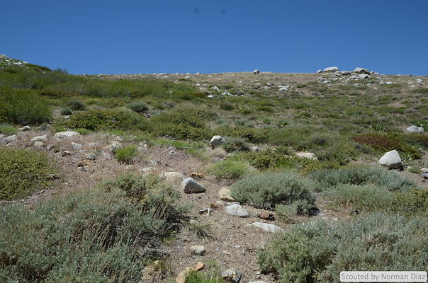 DND 9859