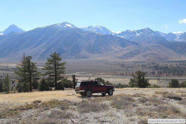 DND-IMG 7274