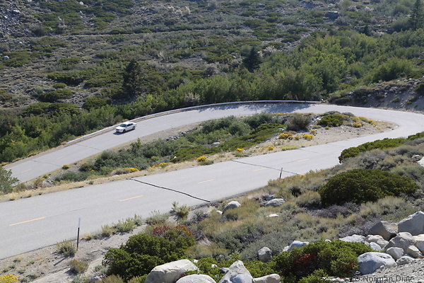 zDND-IMG 2161 zDND-IMG 2161