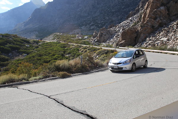 zDND-IMG 2204 zDND-IMG 2204