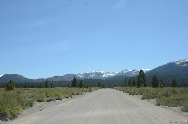 DND 0745
