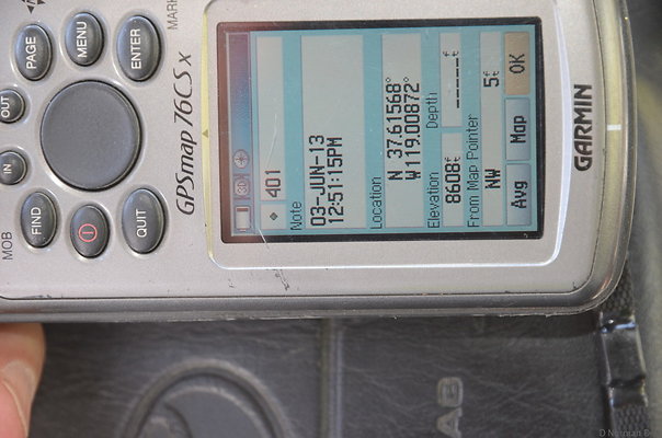 zDND 3004