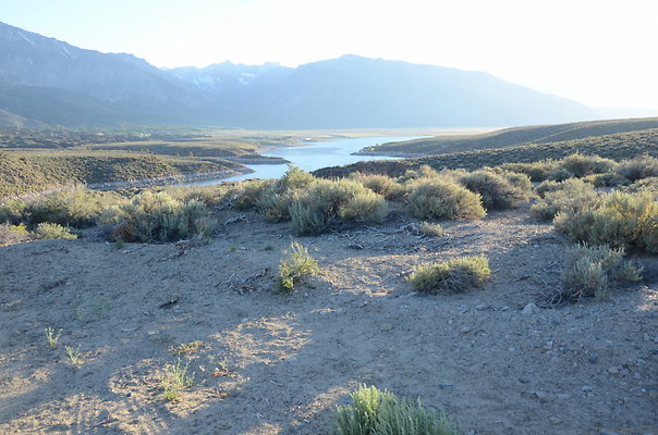 DND 9791