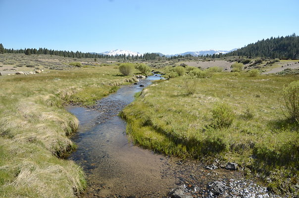 zDND 0873