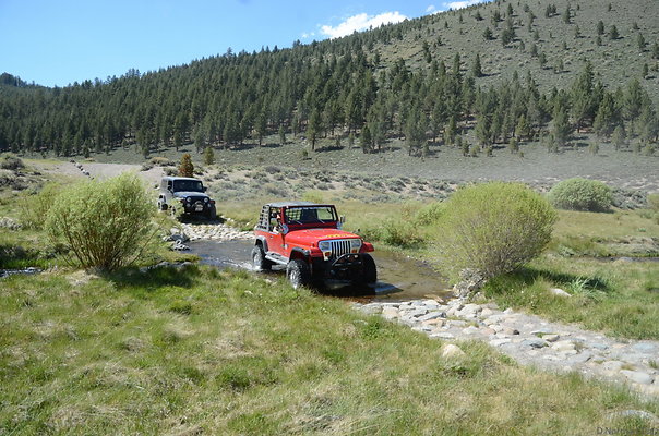 DND 0823
