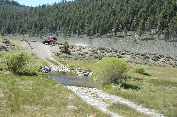 DND 0816