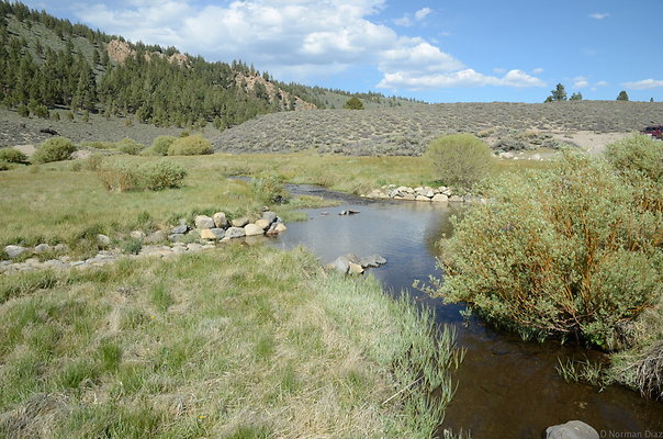 DND 0863