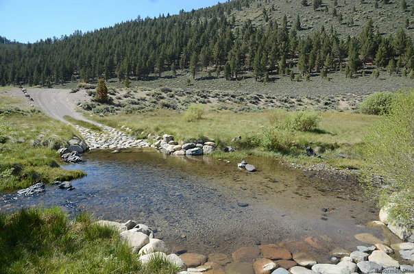 DND 0868