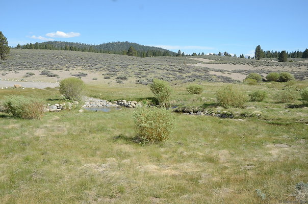 DND 0851