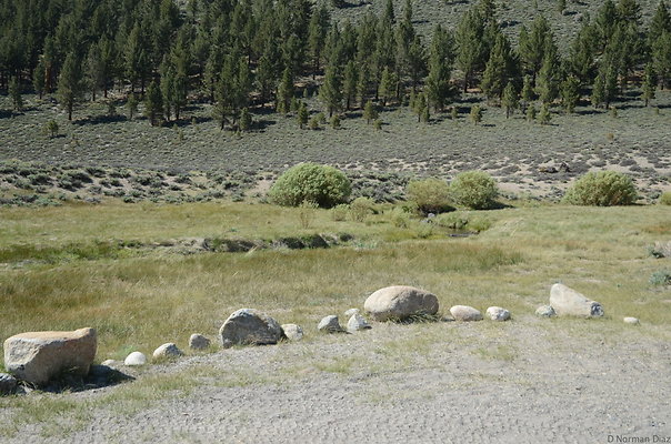 DND 0836