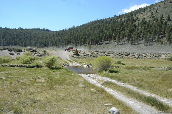 DND 0815